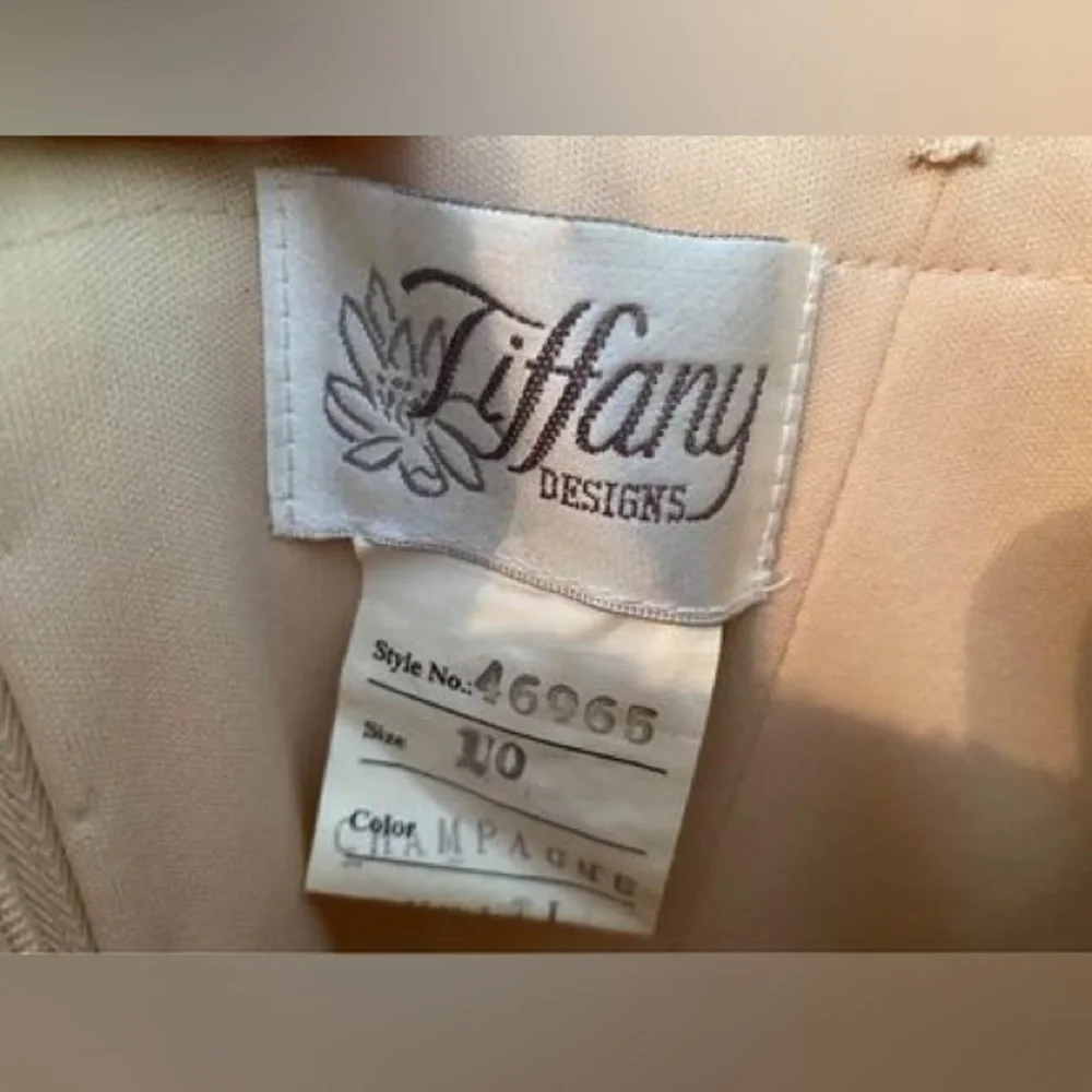Tiffany Champagne Prom Gown Size 10 (Would fit 8) - Picture 7 of 9